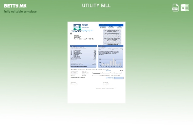 модерен стил на САД Вашингтон, градот Лејси, шаблон за комунални сметки за вода